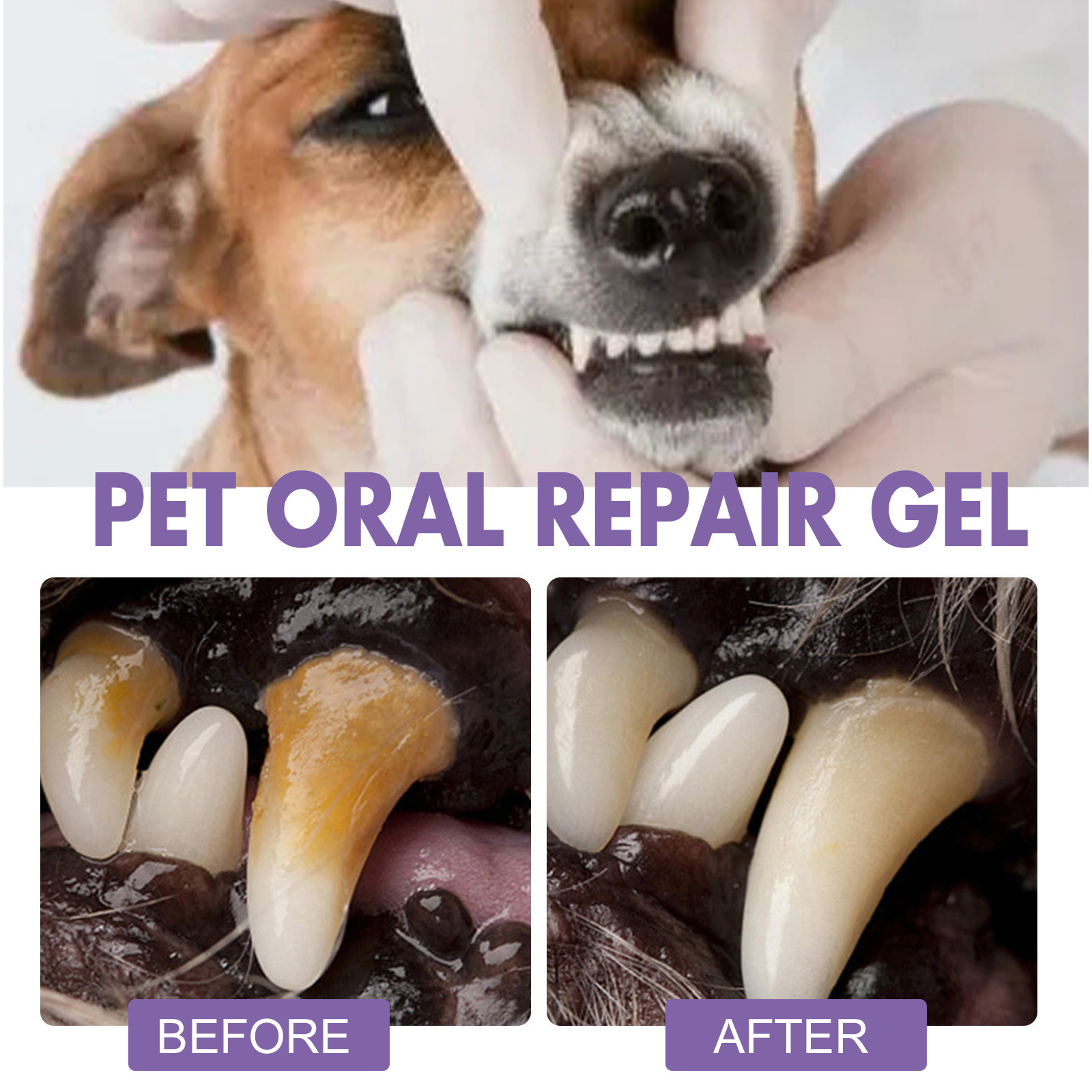 Pet Oral Repair Gel Puppy Tart - đánh giá và giá Teeth Whitening Price