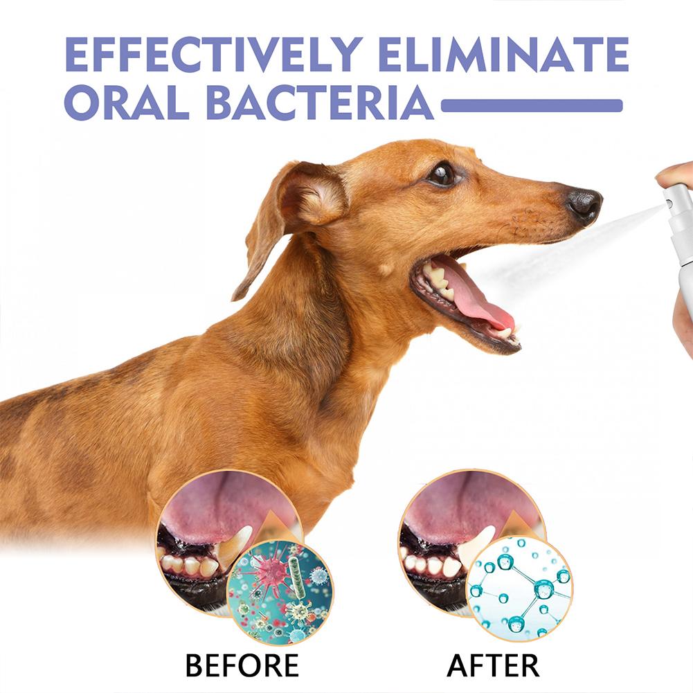 Pet Oral Cleaning Spray Mouth  - đánh giá và giá Colgate Whitening Teeth