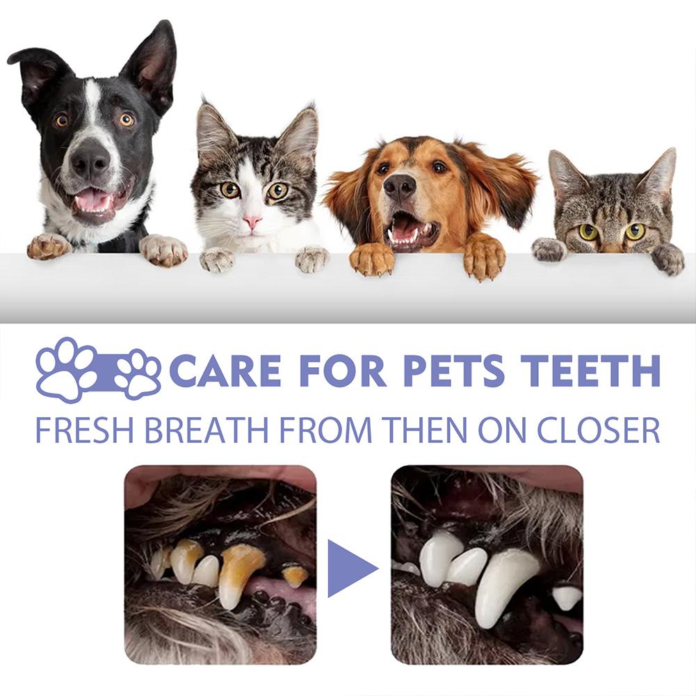 Pet Oral Cleaning Spray Mouth  - đánh giá và giá Colgate Whitening Teeth